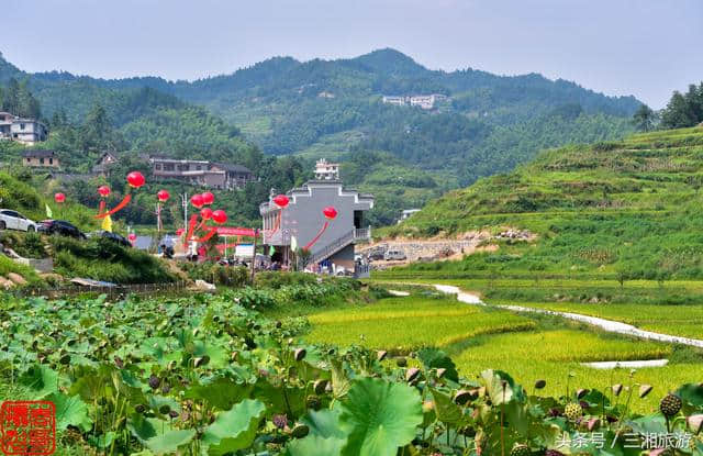 娄底冒出个万龙百乐谷，高清航拍图秀美如画，乡村旅游的好出去