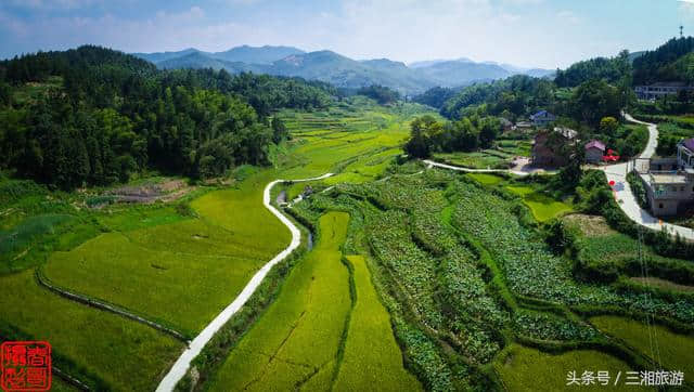 娄底冒出个万龙百乐谷，高清航拍图秀美如画，乡村旅游的好出去