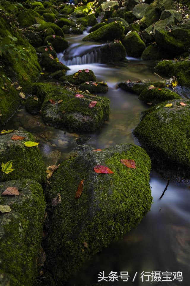 宝鸡旅游景区美图集锦