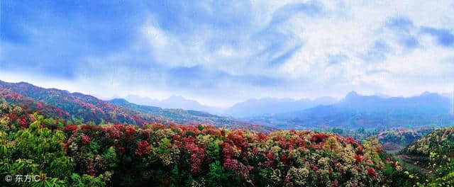 西南“后花园”贵州毕节：自带天然空调，观赏的花海还有食用价值