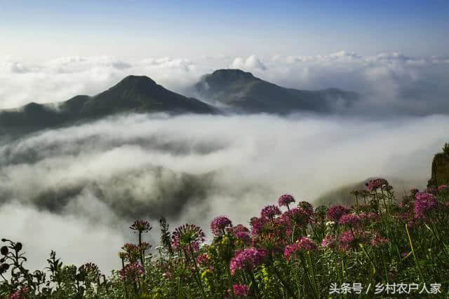 适合重庆人夏天去的旅游胜地，人少景美，还凉快，一个都不想错过