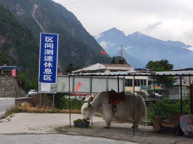 若尔盖旅游攻略，一场洗肺之旅