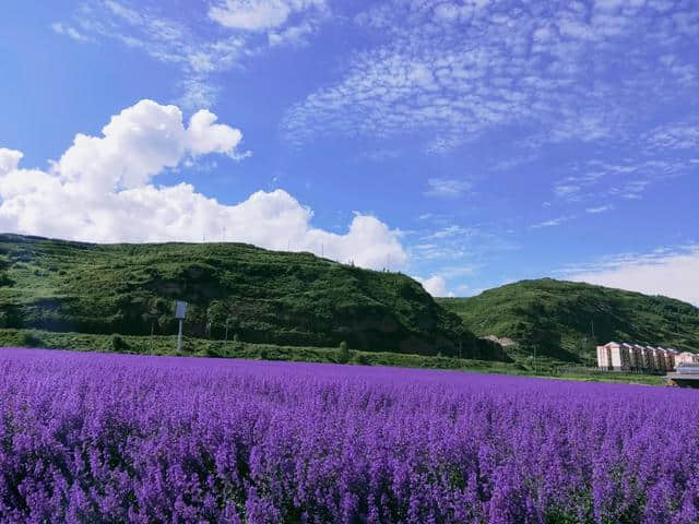 若尔盖旅游攻略，一场洗肺之旅