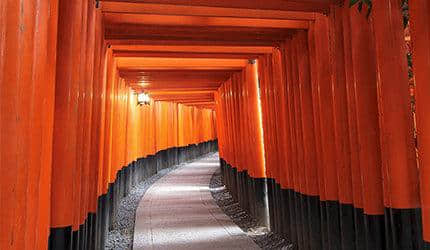 到日本旅行，参拜神社时有哪些注意事项？