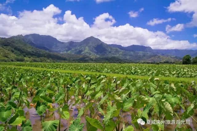 夏威夷这10个地方你肯定没去过！