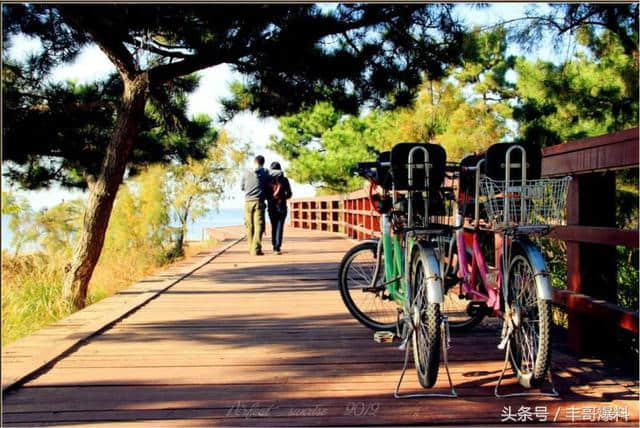 北戴河旅游攻略大全