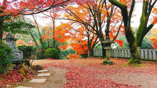 去日本旅行你怎么可以错过这些？日本升龙道旅行全攻略