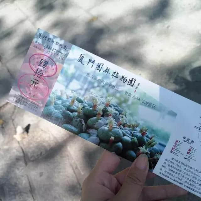 厦门旅游拍照攻略，拔草厦门网红景点