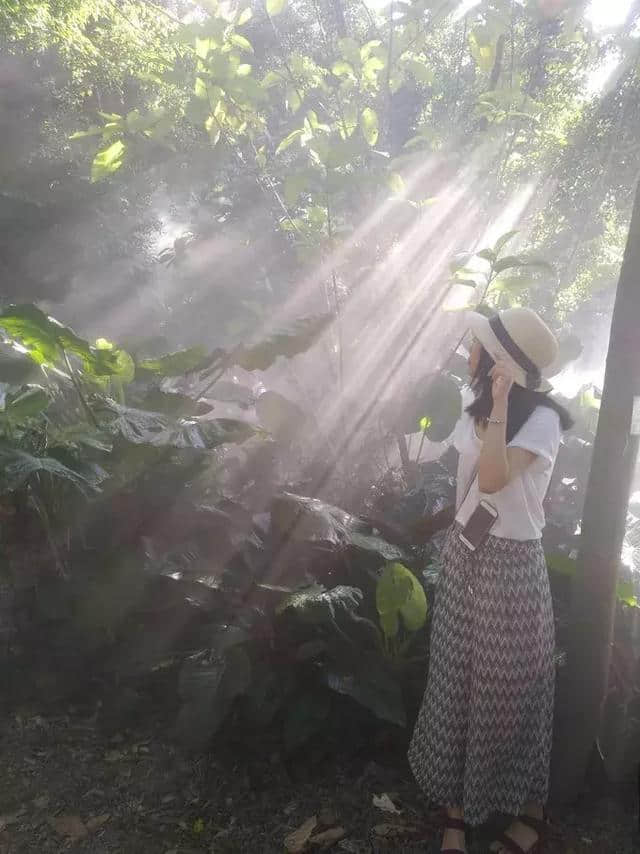 厦门旅游拍照攻略，拔草厦门网红景点