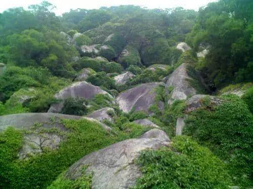 曝光！厦门岛内这座山竟私藏这么多美景！赏花踏青何必远行…