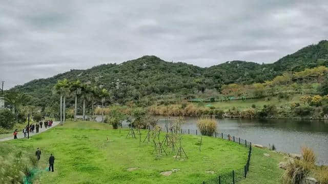 曝光！厦门岛内这座山竟私藏这么多美景！赏花踏青何必远行…