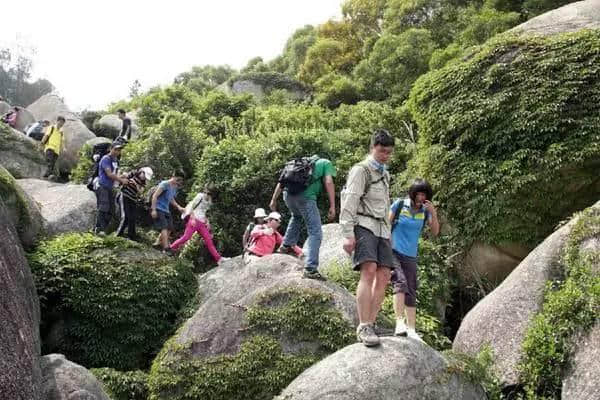 曝光！厦门岛内这座山竟私藏这么多美景！赏花踏青何必远行…