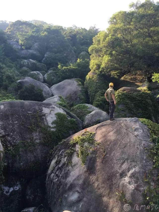 曝光！厦门岛内这座山竟私藏这么多美景！赏花踏青何必远行…