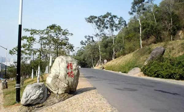 曝光！厦门岛内这座山竟私藏这么多美景！赏花踏青何必远行…