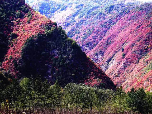 宝鸡这处景点可媲美香山，是浑然天成的游乐园，假期走起！