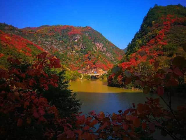 宝鸡这处景点可媲美香山，是浑然天成的游乐园，假期走起！