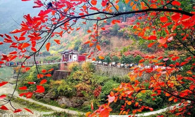 宝鸡这处景点可媲美香山，是浑然天成的游乐园，假期走起！