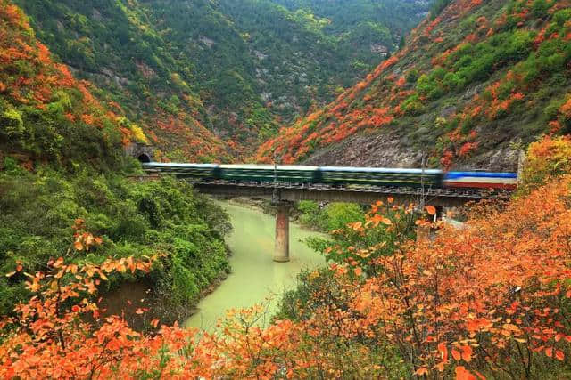 宝鸡这处景点可媲美香山，是浑然天成的游乐园，假期走起！