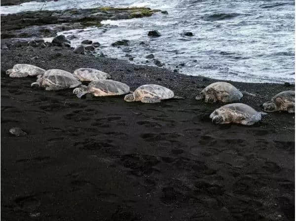 夏威夷旅游十六大必体验！火山、观鲸，夏威夷还可以这么玩？！