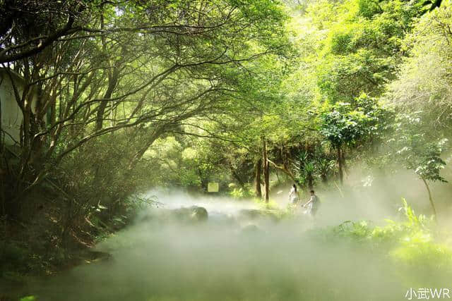 厦门旅游景点推荐：厦门园林植物园(万石植物园)