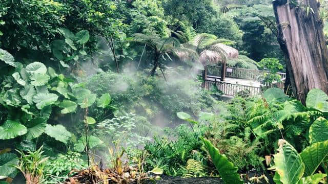 厦门旅游景点推荐：厦门园林植物园(万石植物园)