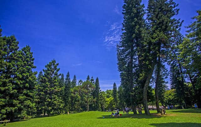 厦门旅游景点推荐：厦门园林植物园(万石植物园)