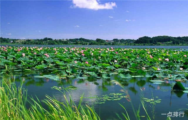 保定十大著名旅游景点，古莲花池是我国北方古代园林的明珠