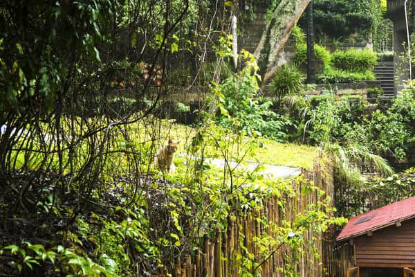 携程周边游大玩家 厦门鼓浪屿日光海岸精品旅馆体验游记