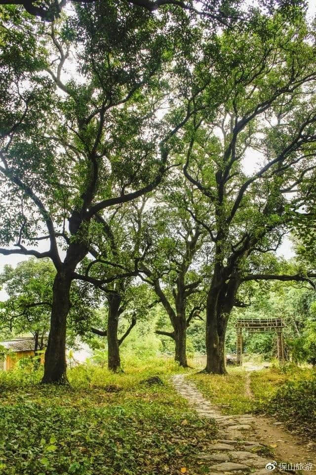 5月保山旅游实用攻略 好泡好玩好吃好睡样样好