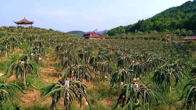 金秋出游好时节！农民丰收节来韶关仁化，绘就最美的秋天旅游地图