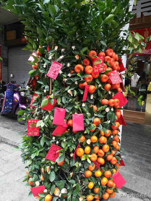 春节旅行：北海旅游攻略——饮食篇