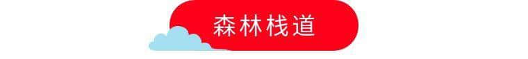 清远山其洞温泉度假村木屋别墅套餐499元，畅游秘境竹林山泉泳池