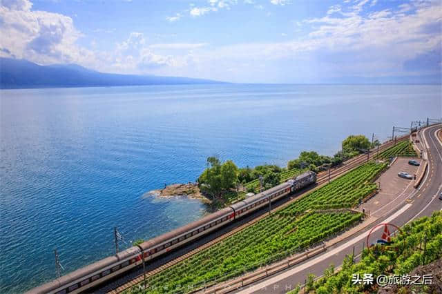 拉沃葡萄园梯田：瑞士最美的梯田，日内瓦湖边的一道风景线