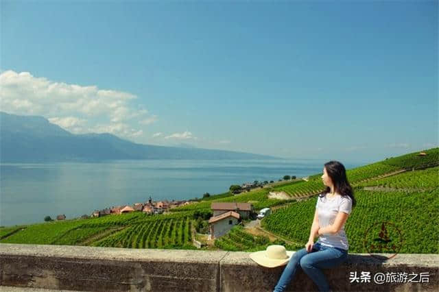 拉沃葡萄园梯田：瑞士最美的梯田，日内瓦湖边的一道风景线