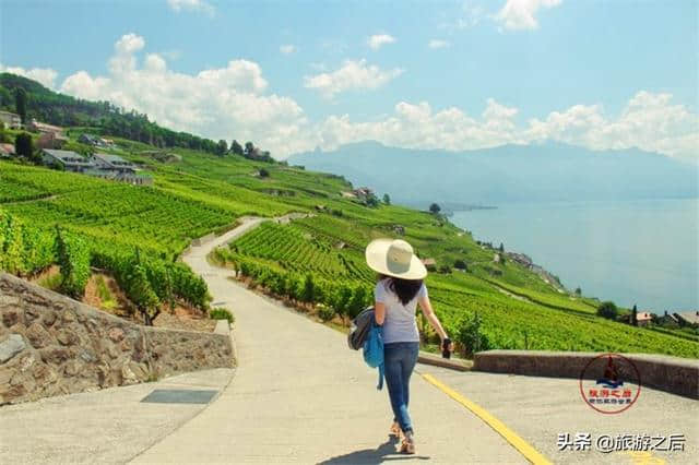 拉沃葡萄园梯田：瑞士最美的梯田，日内瓦湖边的一道风景线