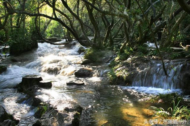 世外桃源荔波，文艺小资青年的你为何不去一趟？荔波旅游攻略之一