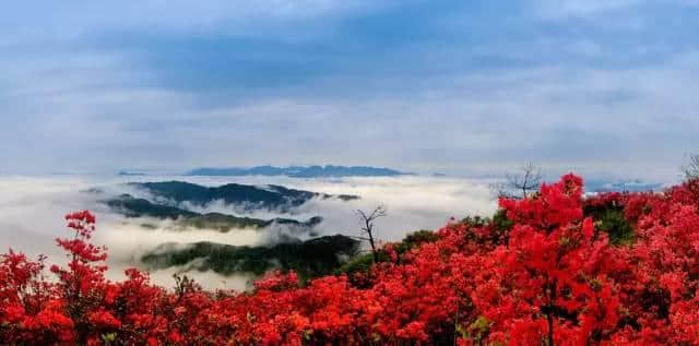 谁说三明没有秋天！这个纯粹的最美秋色小城你造吗？秋游不愁没地方去啦