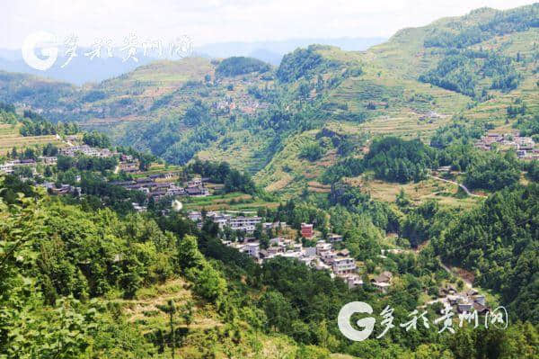 贵州沿河：小山村发现大溶洞 乡村旅游又添新景