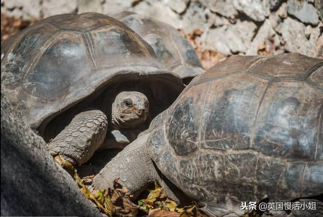 一生必游之地你还没去过？快收下这份塞舌尔旅行攻略