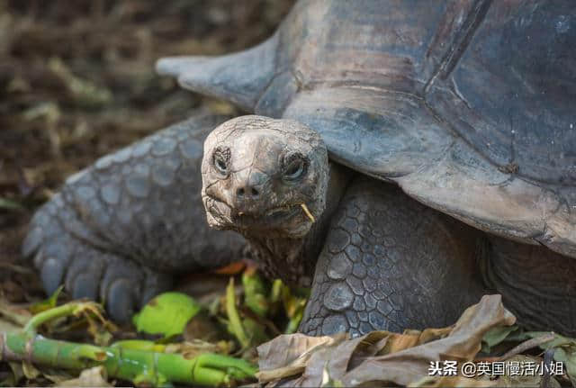 一生必游之地你还没去过？快收下这份塞舌尔旅行攻略