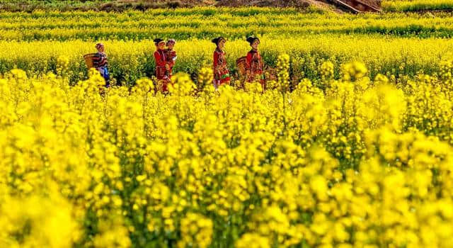 点进来！一键解锁攀枝花全年最佳旅游点！