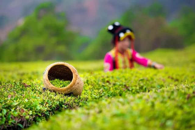 点进来！一键解锁攀枝花全年最佳旅游点！