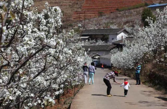 点进来！一键解锁攀枝花全年最佳旅游点！