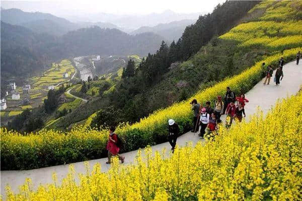 点进来！一键解锁攀枝花全年最佳旅游点！