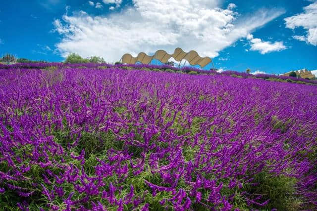 点进来！一键解锁攀枝花全年最佳旅游点！