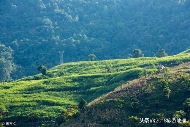 对不起，我劝你别来保山了……