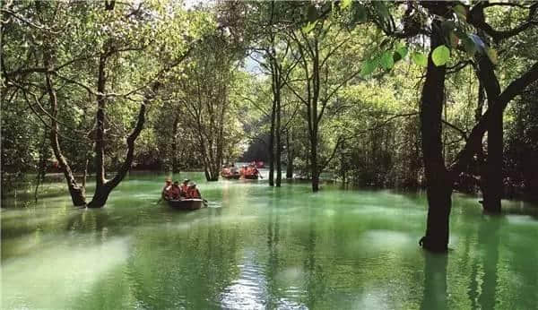 旅行！贵州最好玩的地方全都在这里了！你知道几个？