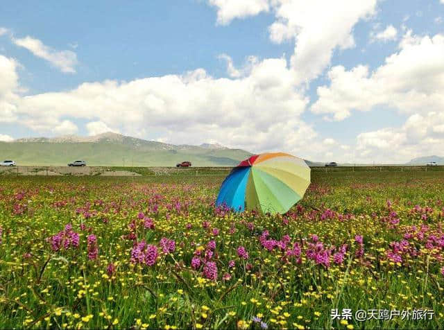 若尔盖大草原，8月正适合