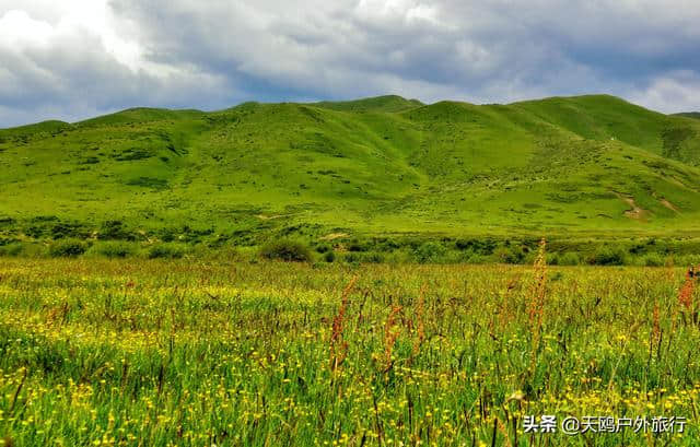 若尔盖大草原，8月正适合