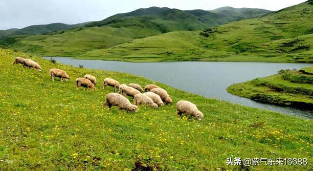 贵州十大夏季旅游景点 贵州十大夏季旅游好去处